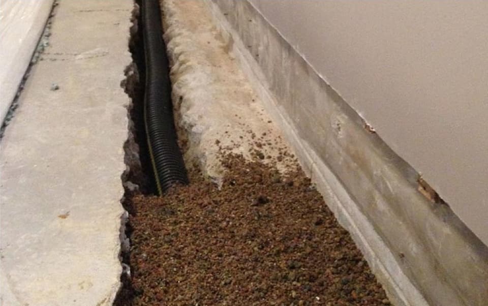 Crawl Space Ventilation: Is It Really Necessary?