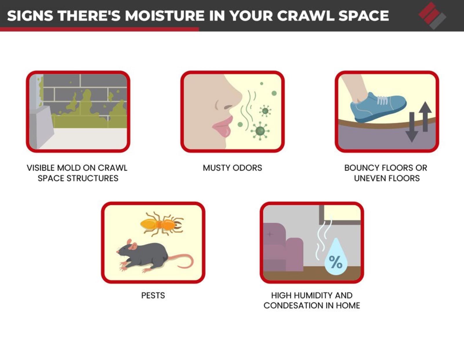 Signs there is moisture in your crawl space, including musty odors, bouncy or uneven floors, pests, and high humidity or condensation in the home.