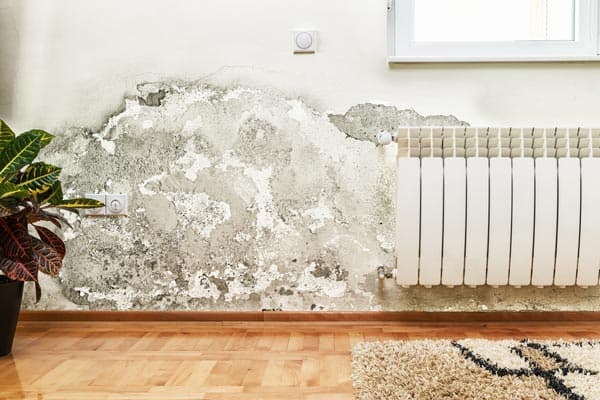 White powdery efflorescence on a concrete basement wall, often mistaken for mold.