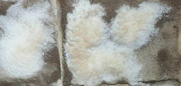 Efflorescence on concrete occurs when water infiltrates the concrete and then evaporates on the surface leaving behind salts. Efflorescence isn't a structural problem.