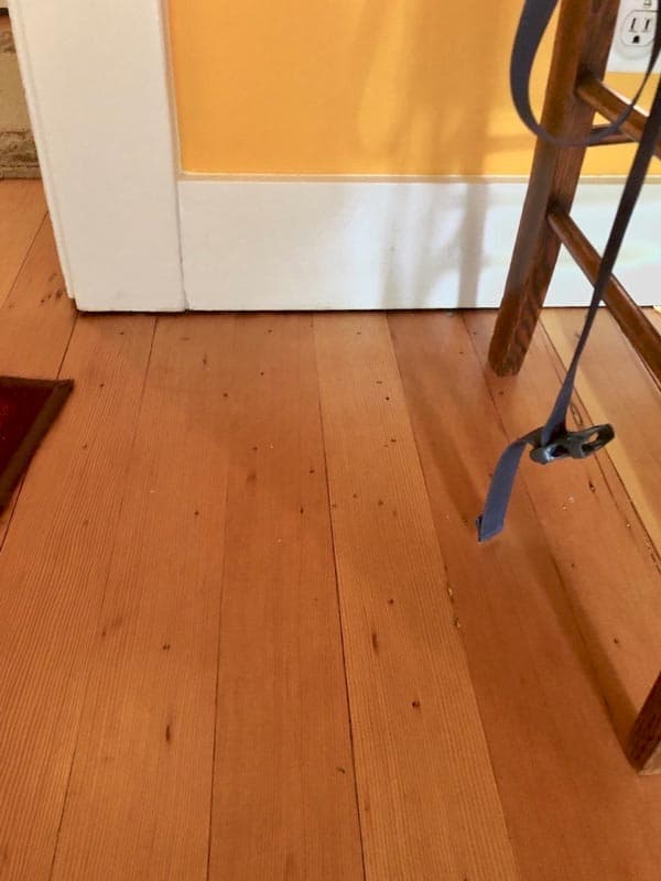 A gap between the wall and the floor can indicate your home has structural damage. Foundation settlement is a common cause of a gap between the wall and the floor.