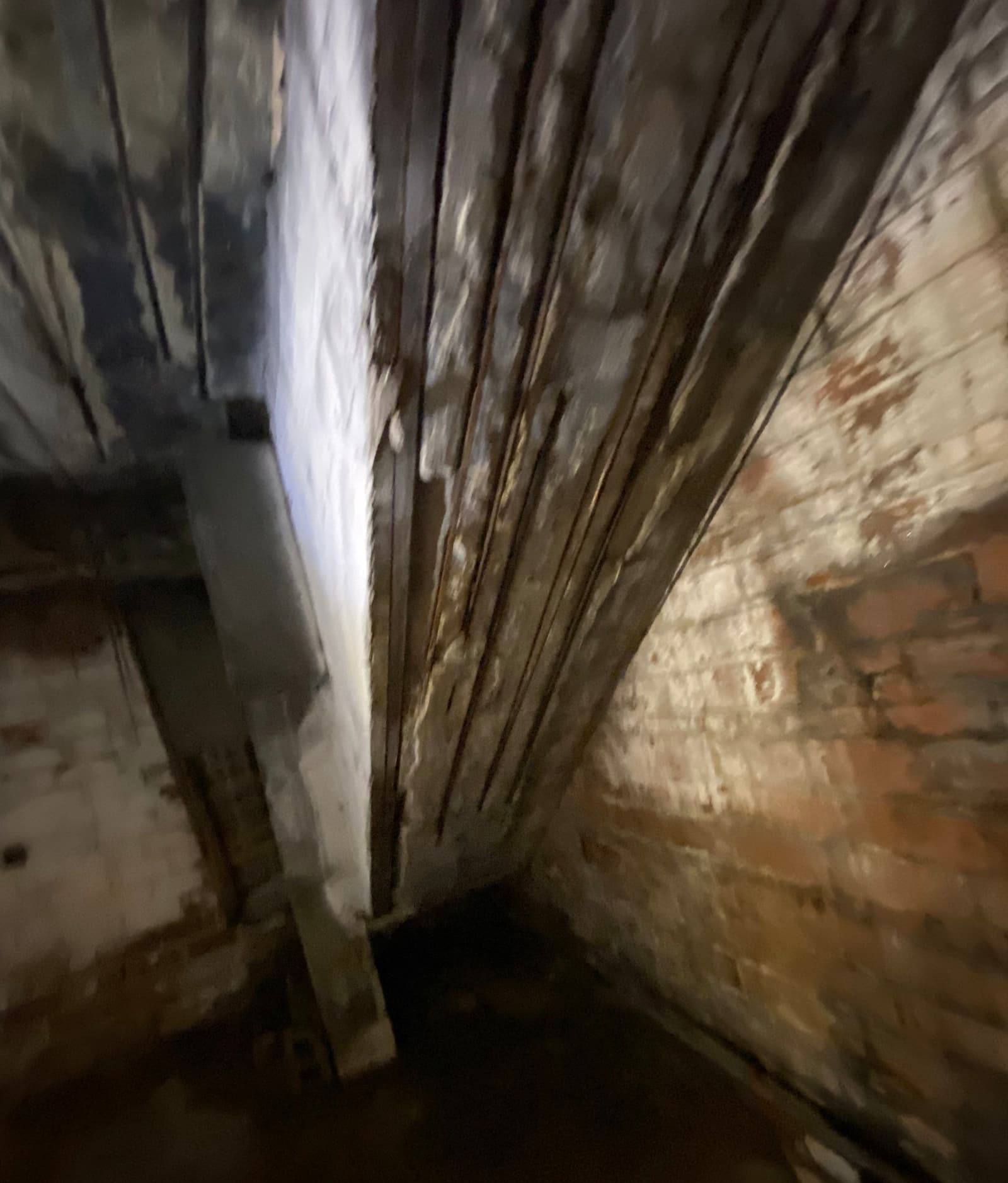 Underlying cause of mold growth in Midwest homes