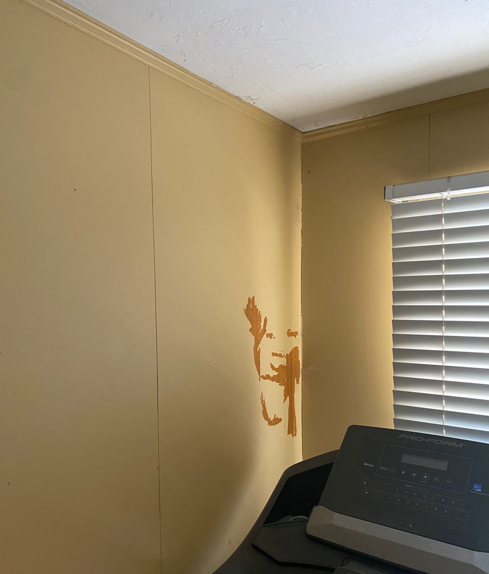 Epp Foundation Repair inspecting peeling paint and wall damage in a basement in Lincoln, NE.