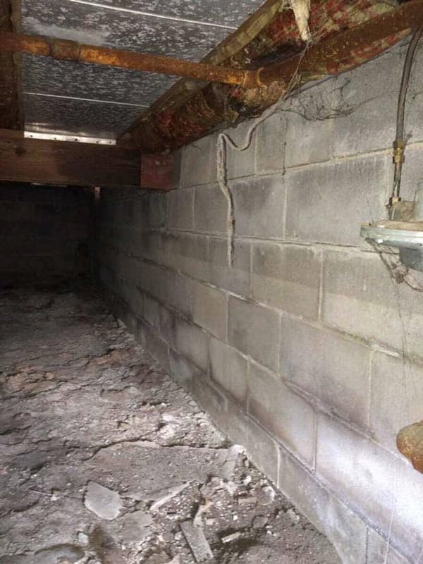Deteriorating Insulation diagnosed by Epp Foundation Repair