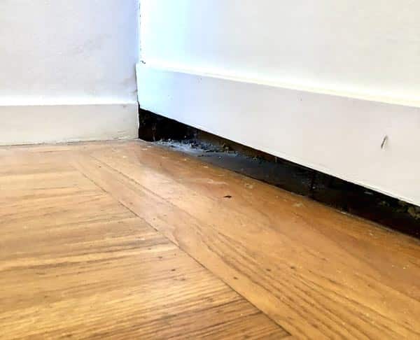 Early warning signs of groundwater seepage on a Midwest home