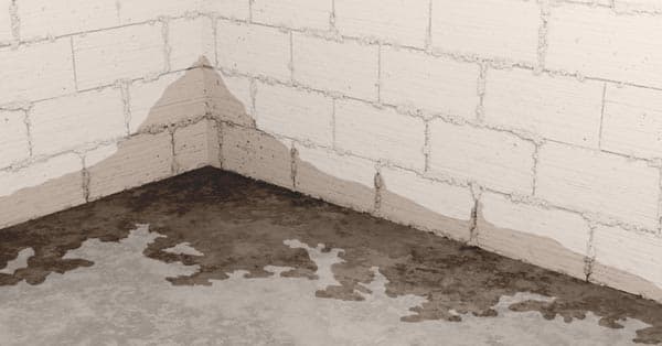 Epp Foundation Repair inspecting significant water damage and standing water in a basement corner.