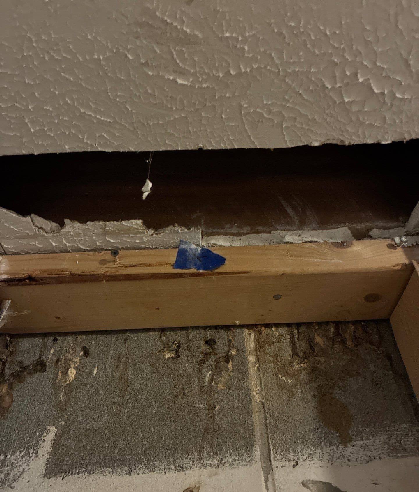 Underlying cause of mold growth in Midwest homes