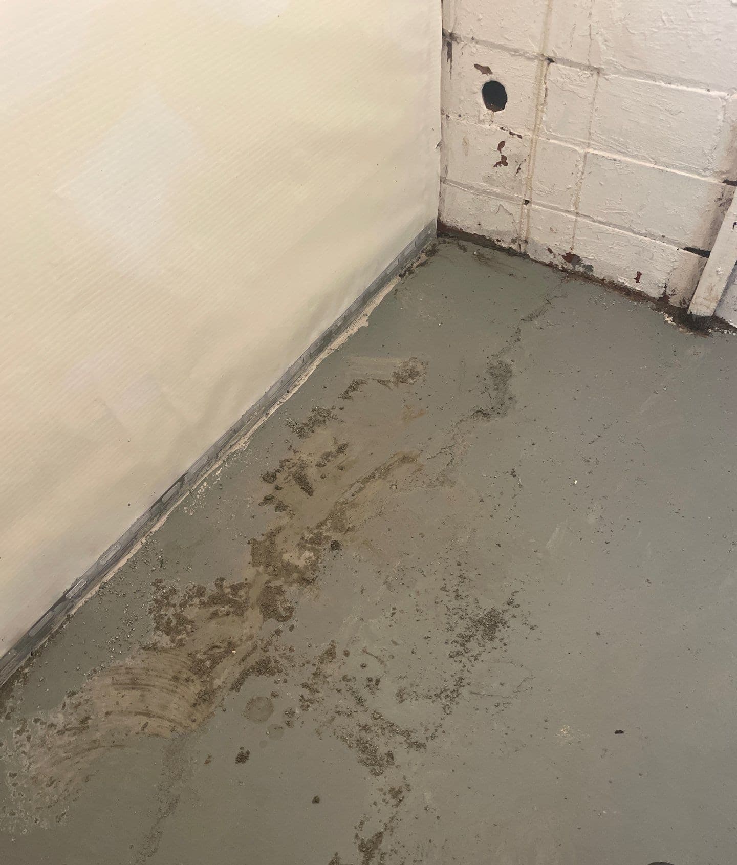 Early warning signs of efflorescence on a Midwest home