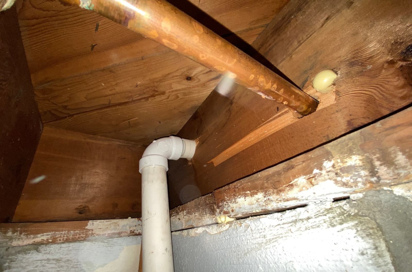 Moisture in Crawl Space diagnosed by Epp Foundation Repair