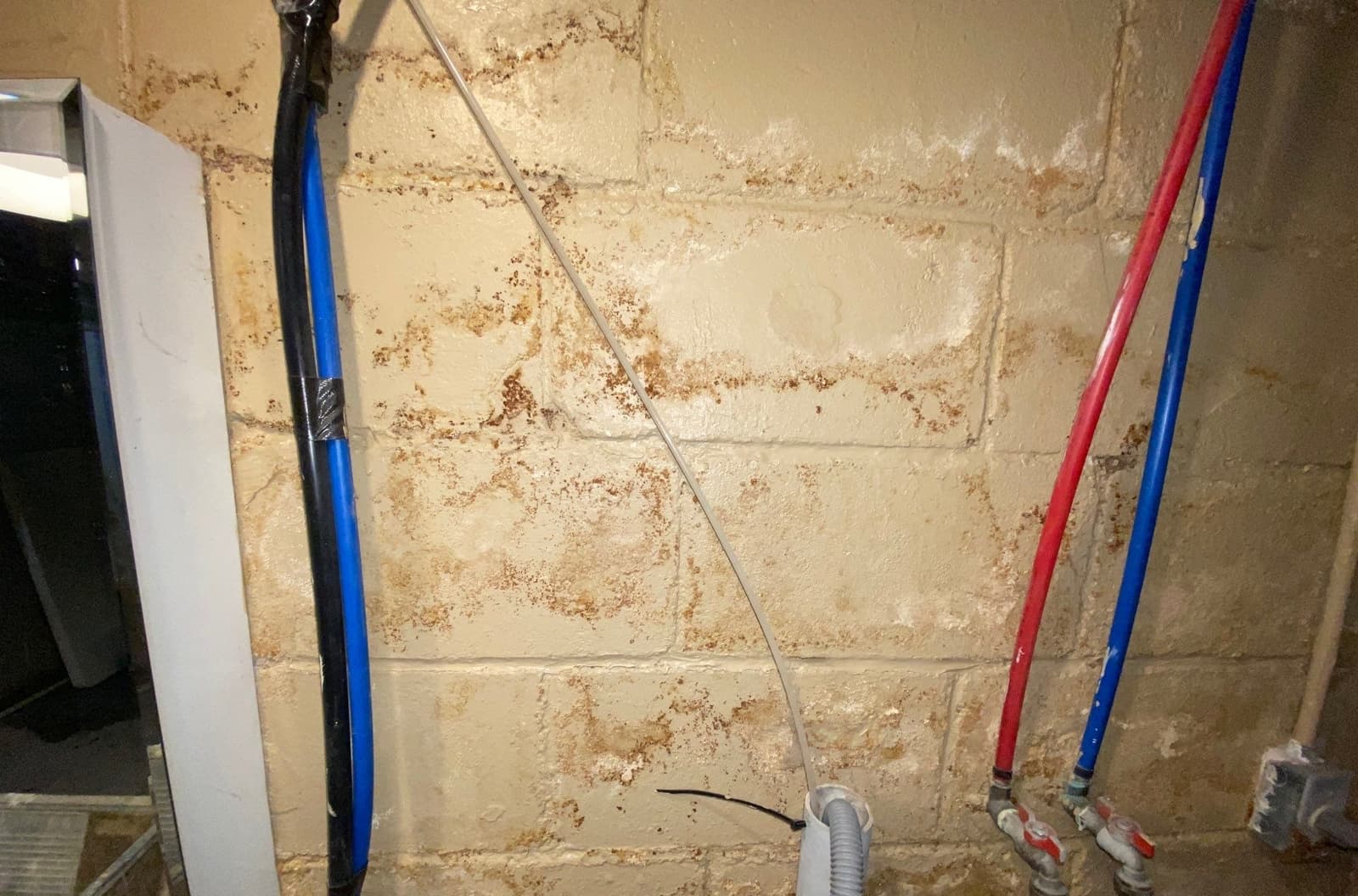 Underlying cause of musty odors in Midwest homes