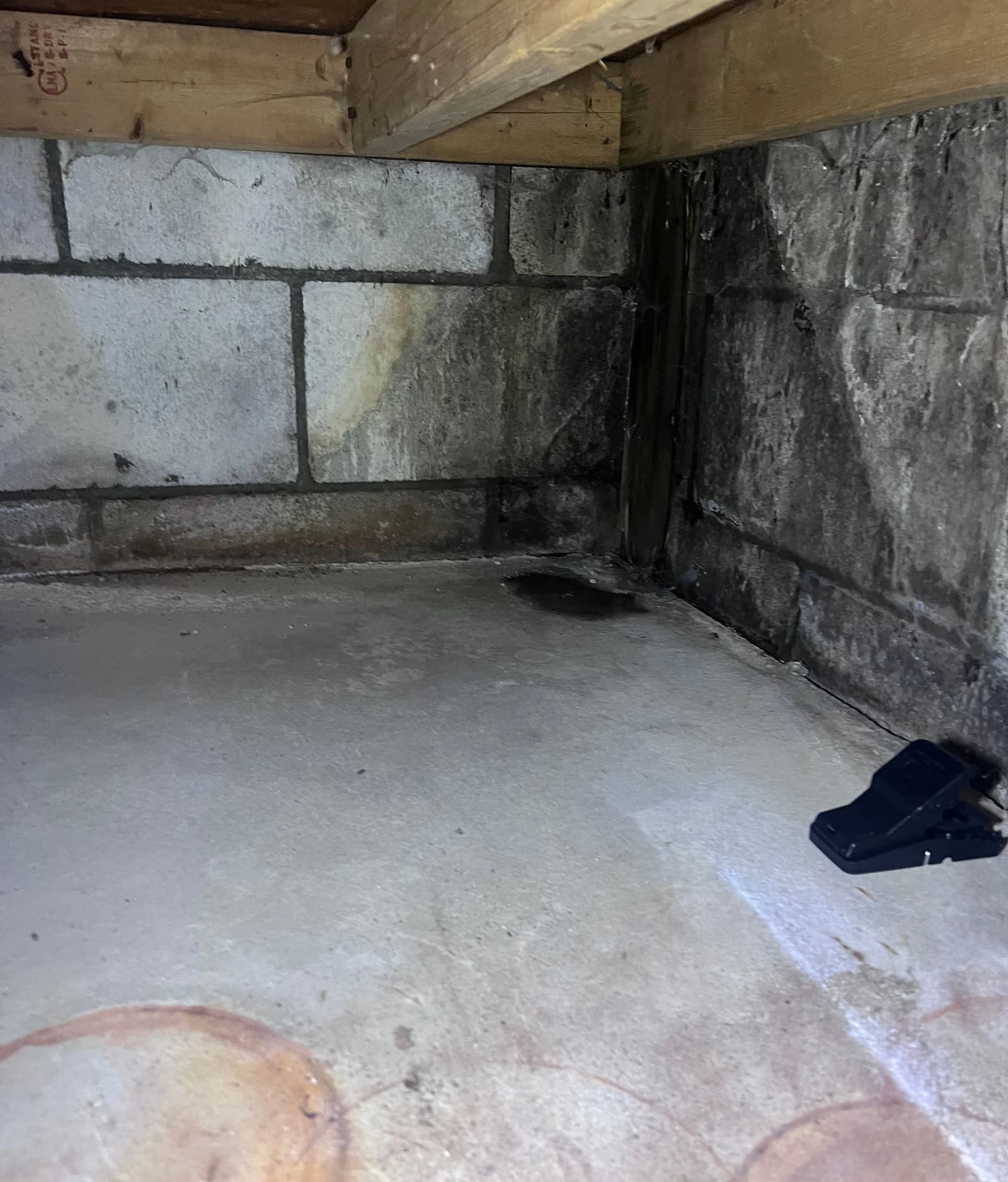 Epp Foundation Repair inspecting a flooded basement corner with mold and water stains on a concrete block wall in Lincoln, NE