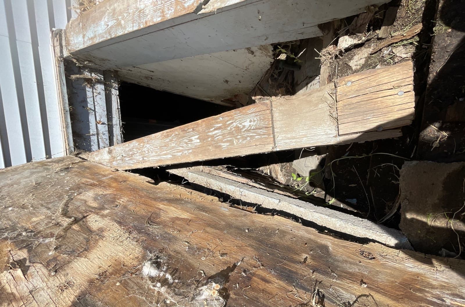 Rotten Wood diagnosed by Epp Foundation Repair