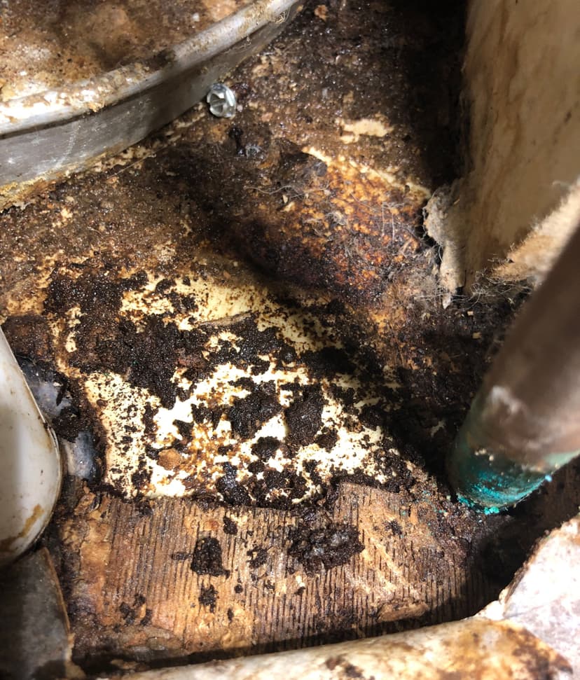 Epp Foundation Repair inspecting crawl space mold and decaying wood from water damage in Lincoln, NE.