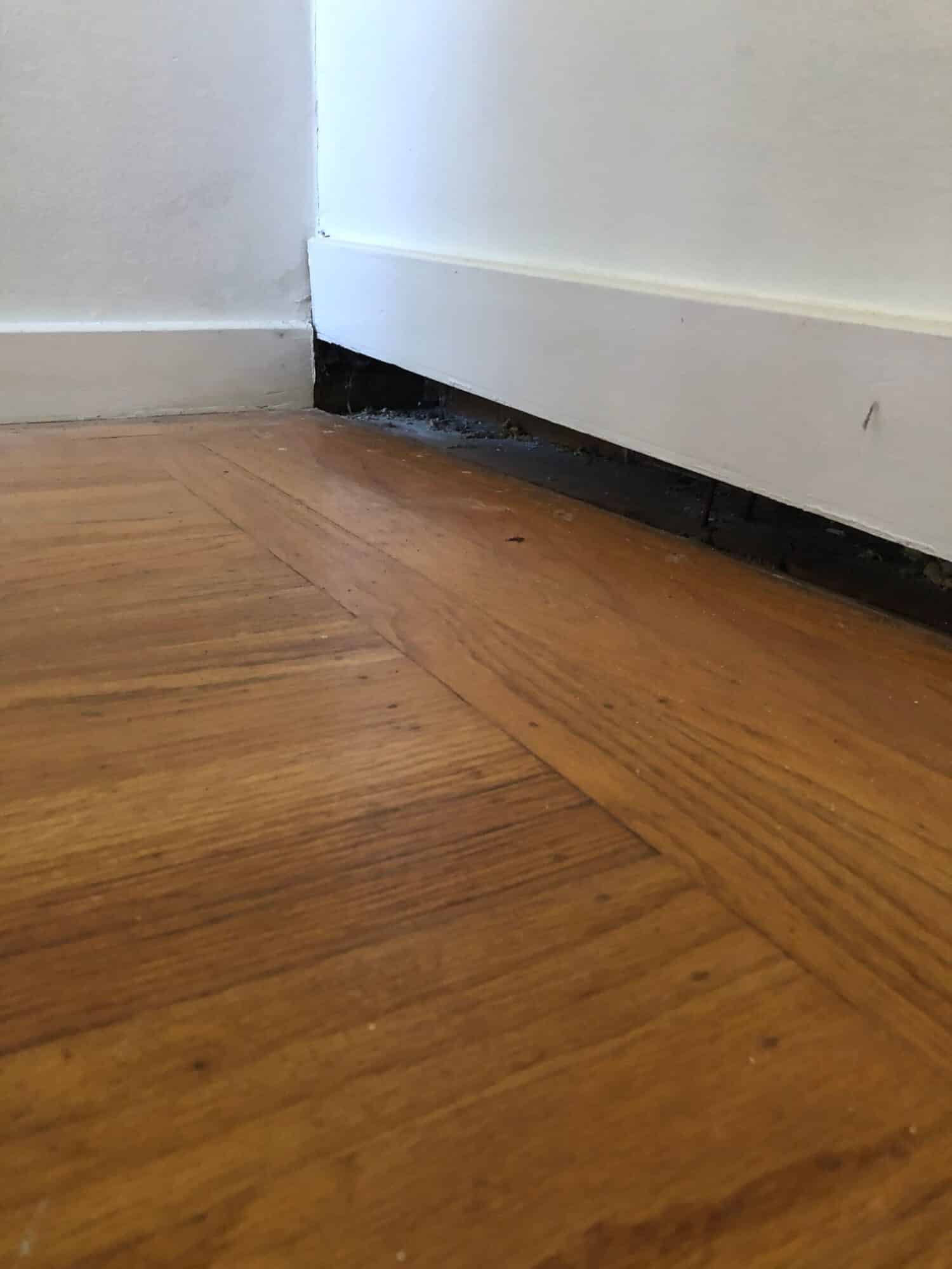 Epp Foundation Repair inspecting a gap between a hardwood floor and baseboard in a room corner, a sign of foundation