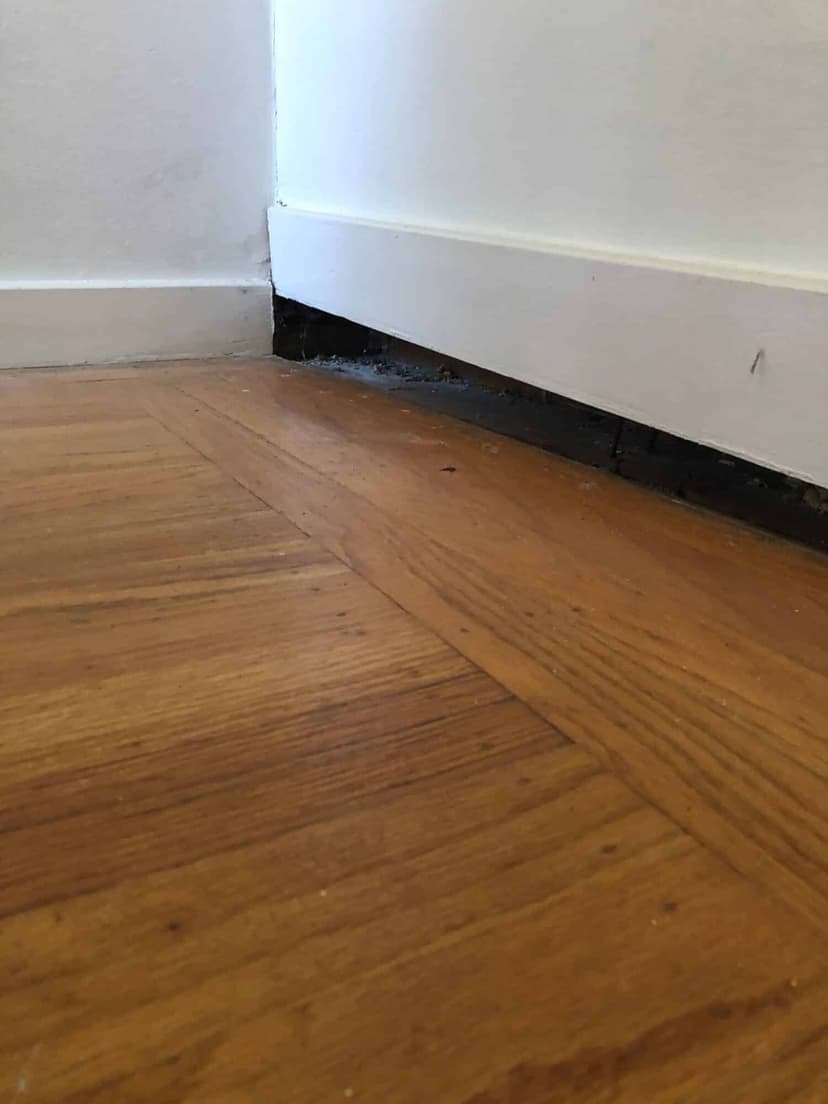 Epp Foundation Repair inspecting a gap between a hardwood floor and baseboard in a room corner, a sign of foundation