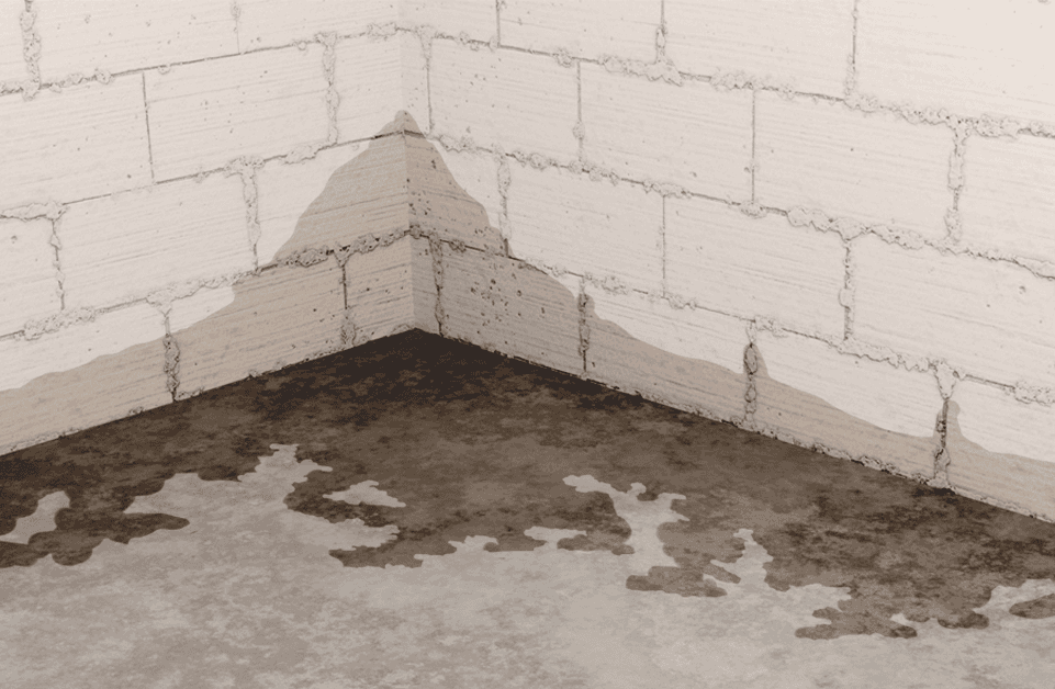 Epp Foundation Repair identifies water entering a basement at the cove joint, pooling on the concrete floor.