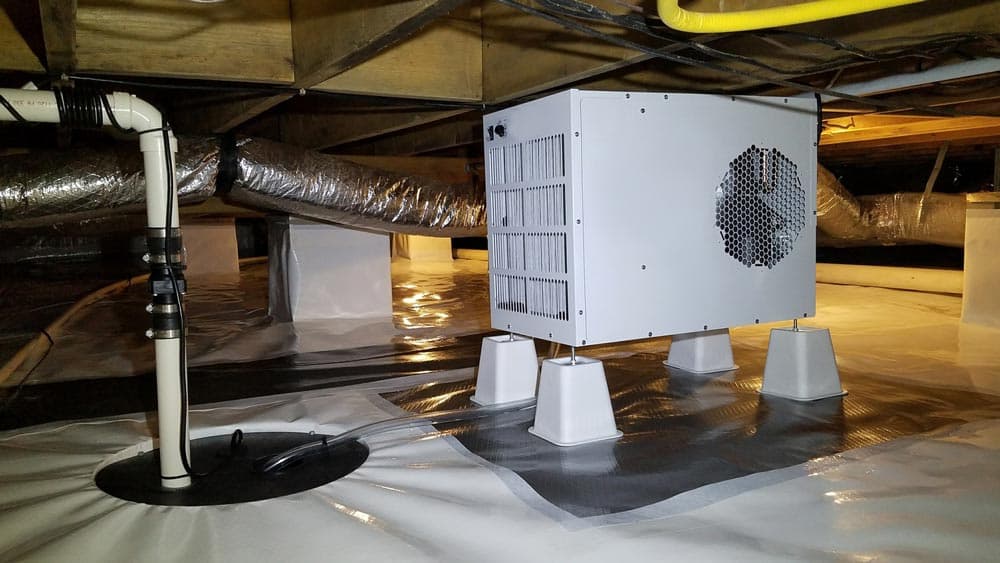Real crawl space photo showing white vapor barrier encapsulation, a sump discharge pipe, and a dehumidifier unit installed