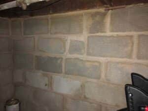 Epp Foundation Repair inspecting moisture and water seepage on a concrete block wall in a wet crawl space.