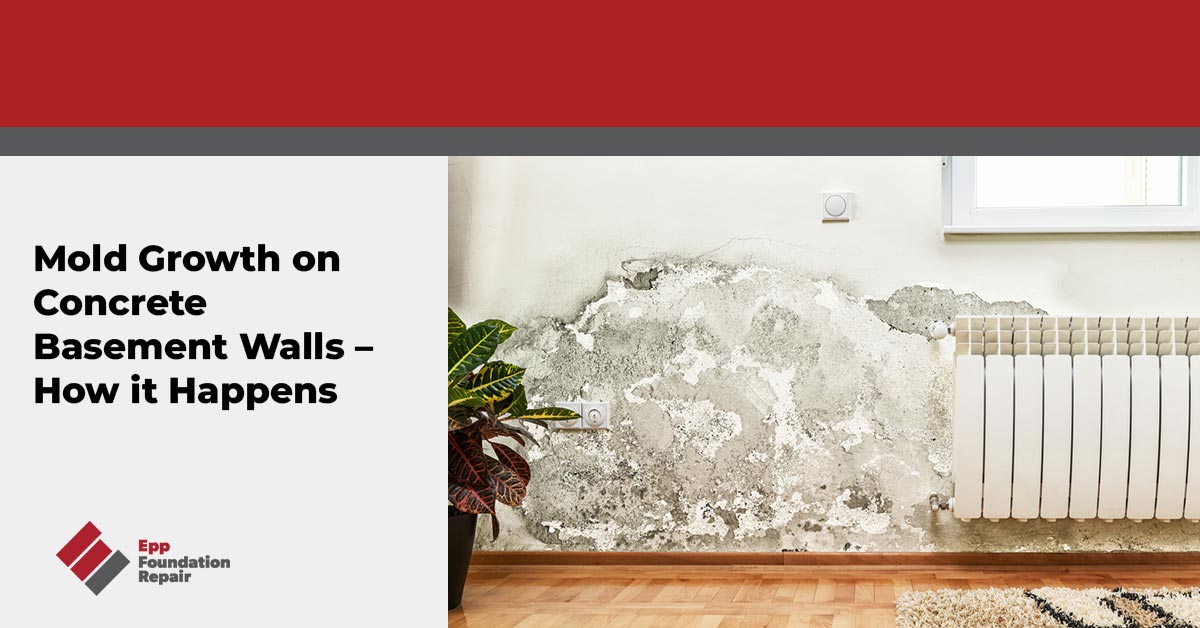 Mold growth on concrete basement walls