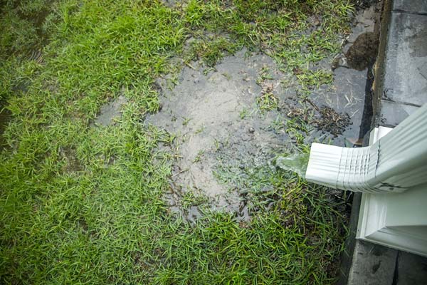 Faulty or blocked gutters and downspouts