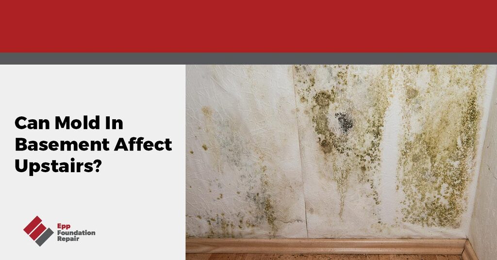 Is the mold in my basement dangerous