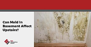 Is the mold in my basement dangerous