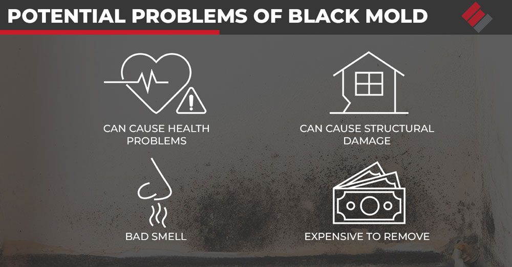 Potential Problems of Black Mold