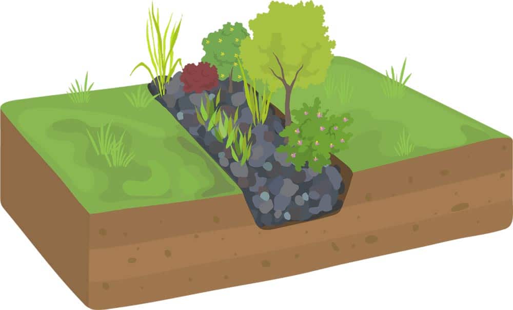 Rain gardens are a beautiful and eco-friendly alternative to French drains. Strategically placed, they capture and absorb runoff, turning a drainage problem into a landscaping opportunity.