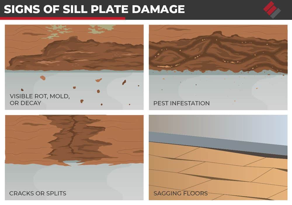 Signs of Sill Plate Damage