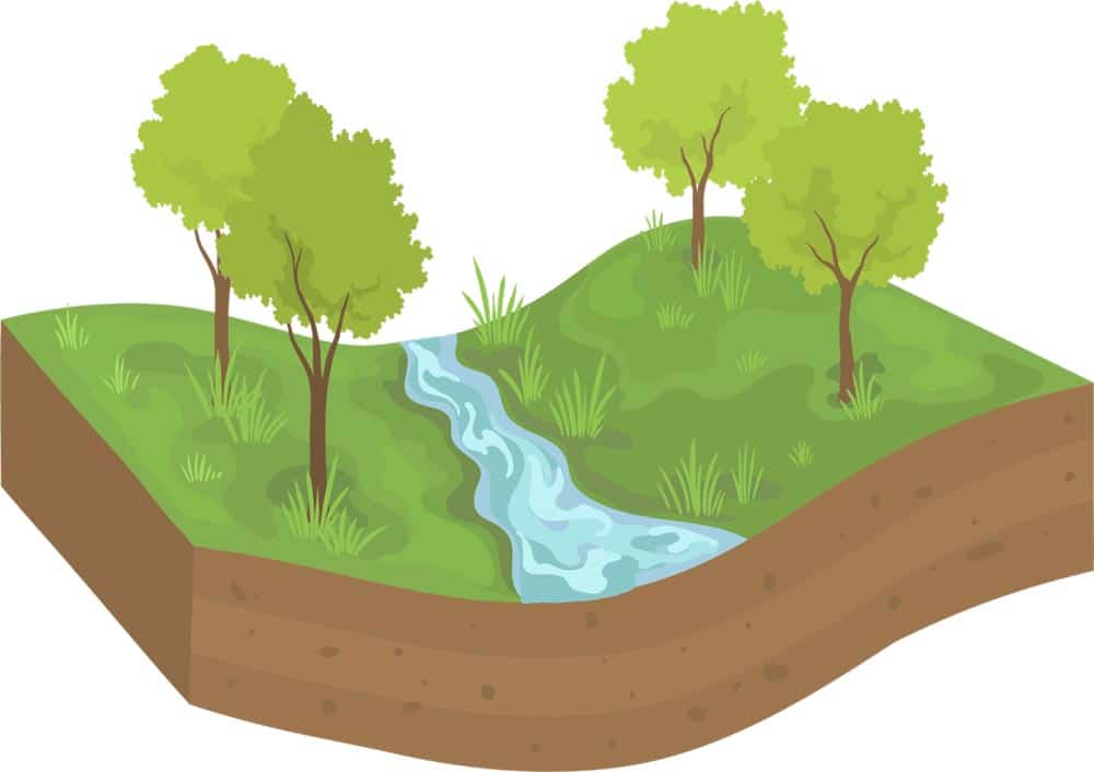 Swales are shallow, sloped ditches that direct water away from specific areas, such as your home’s foundation.