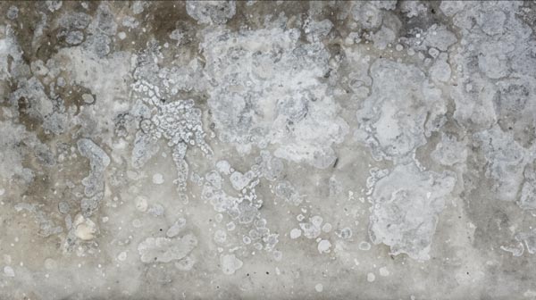 Efflorescence on concrete occurs when water infiltrates the concrete and then evaporates on the surface leaving behind salts. Efflorescence isn’t a structural problem.