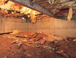 Damp Crawl Space